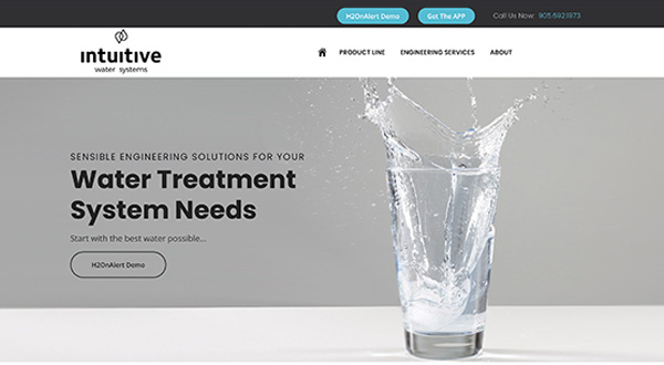 Intuitive Water Systems